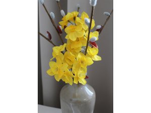 Umělý narcis