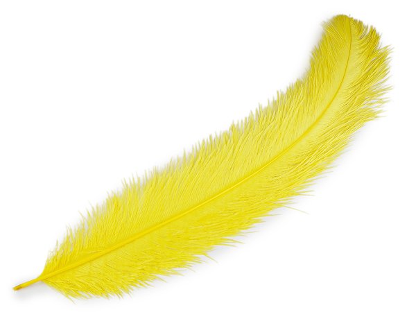 Pštrosí peří délka 60 cm