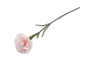 Umělý karafiát
