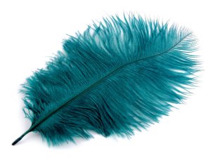 Pštrosí peří délka cca 20-25 cm